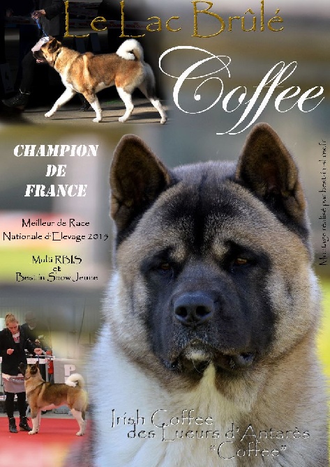 du Lac Brûlé - Coffee officiellement Champion de France