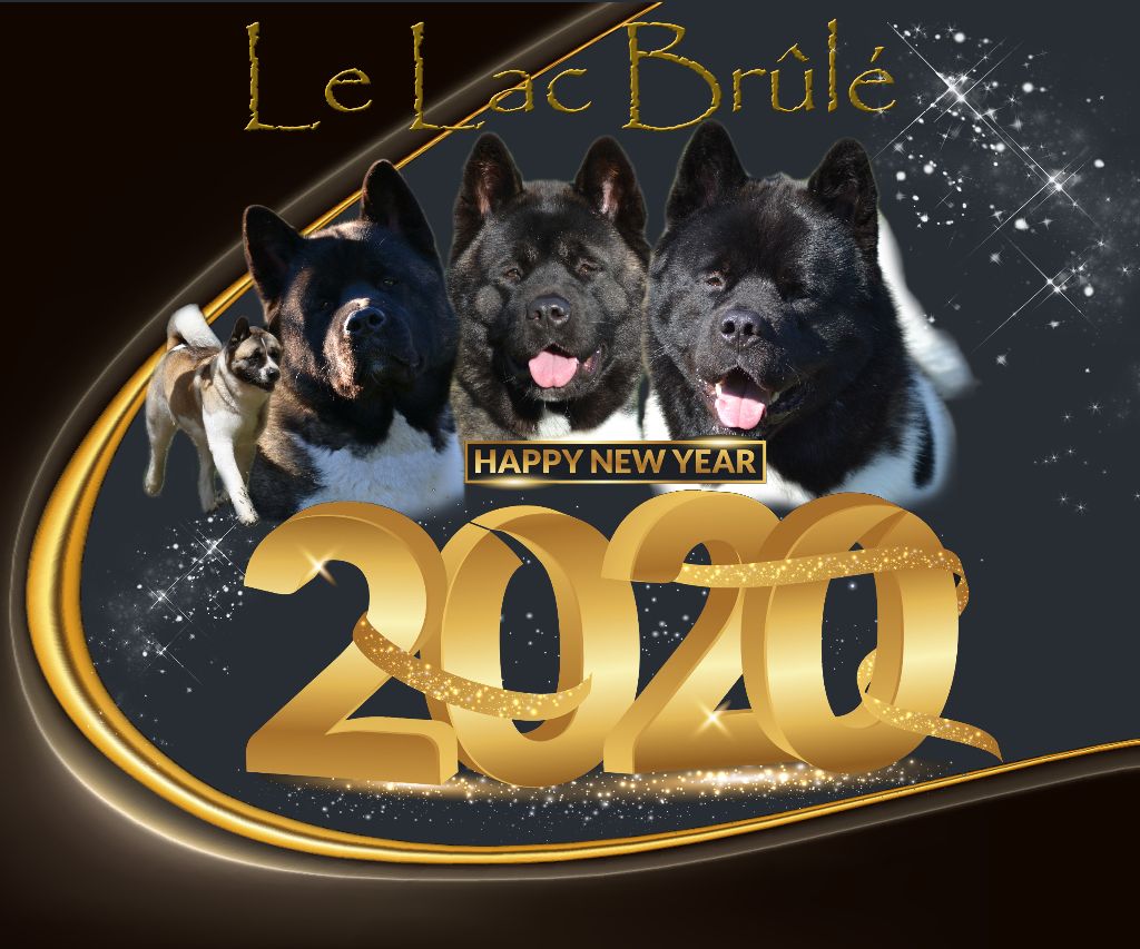 du Lac Brûlé - Janvier 2020