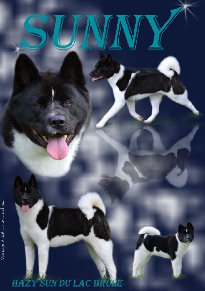 Hazy sun ( sunny) du Lac Brûlé