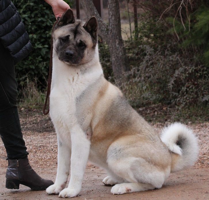 Galaxy remember me du Lac Brûlé