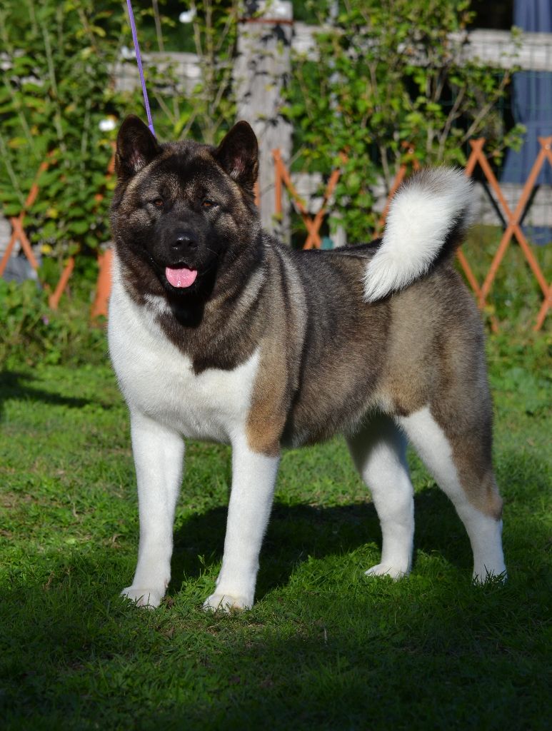 U talkin' to me du Lac Brûlé