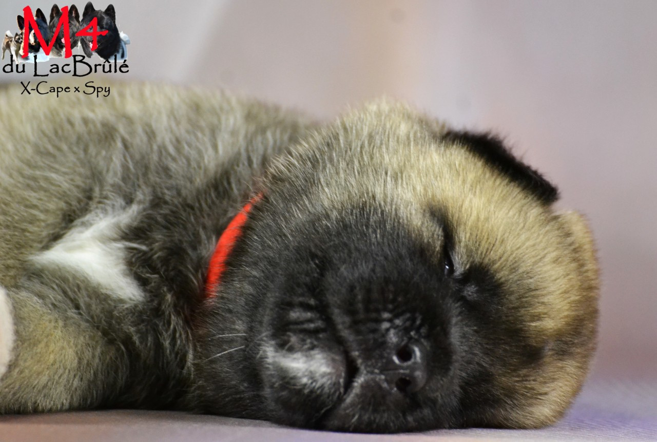 9 merveilles ont vu le jour