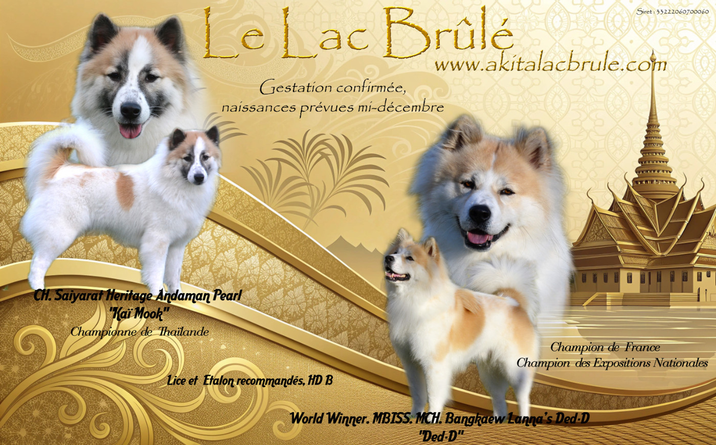 Bientôt des naissances