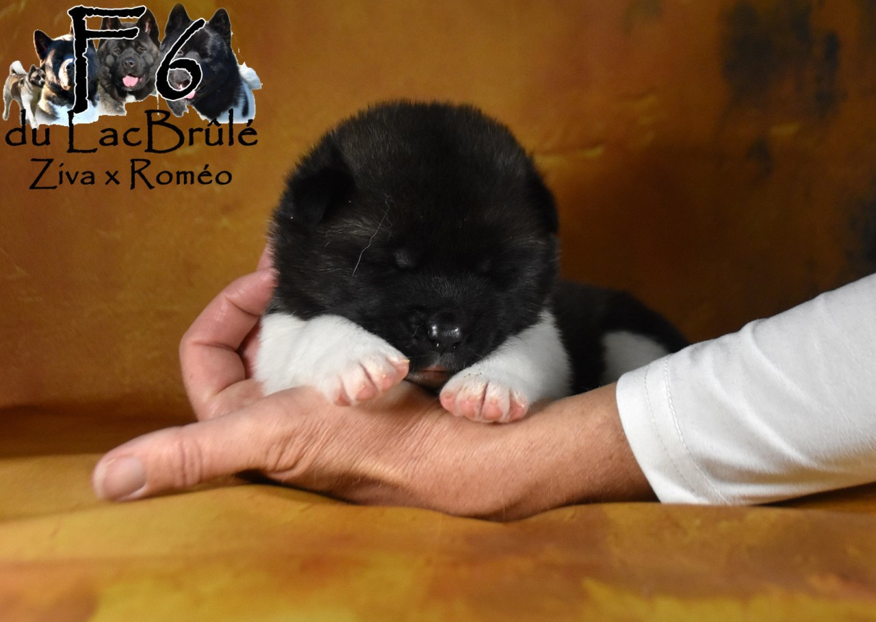 Nouvelles photos à 19 jours