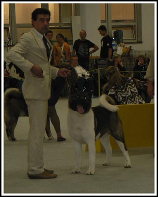 du Lac Brûlé - World Dog Show Bratislava