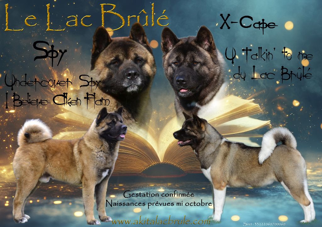 les 1ers bébés d'X-Cape pour bientôt